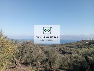 Οικόπεδο 4.850 τ.μ. για πώληση