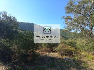 Οικόπεδο 4.850 τ.μ. για πώληση, Ν. Κέρκυρας, Κέρκυρα-thumb-11