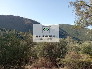 Οικόπεδο 4.850 τ.μ. για πώληση, Ν. Κέρκυρας, Κέρκυρα-thumb-10