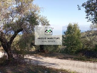Οικόπεδο 4.850 τ.μ. για πώληση, Ν. Κέρκυρας, Κέρκυρα-thumb-5