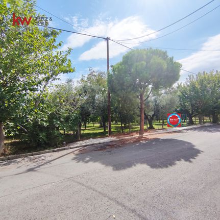 Οικόπεδο 500 τ.μ. για πώληση, Αχαΐα, Αιγιάλεια