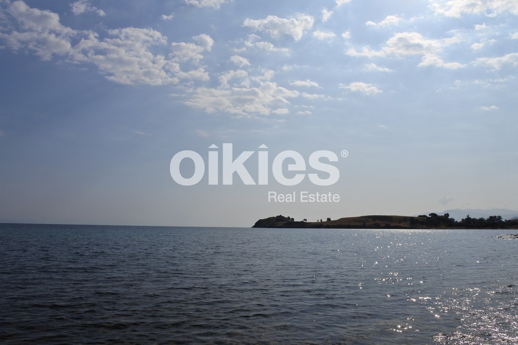 Οικόπεδο 21.000 τ.μ. προς πώληση, Σιθωνία