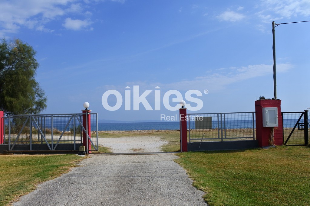 Οικόπεδο 21.000 τ.μ. προς πώληση, Σιθωνία