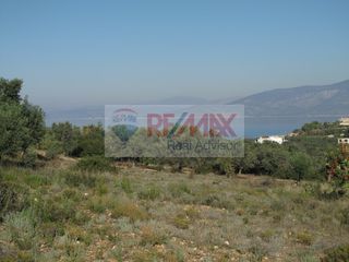 Οικόπεδο 35.001 τ.μ. για πώληση, Αργολίδα, Κρανίδι-thumb-6