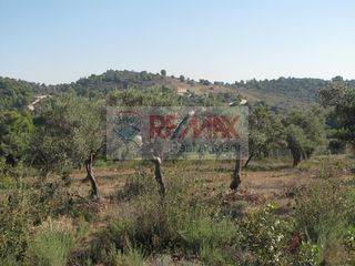 Οικόπεδο 35.001 τ.μ. για πώληση, Αργολίδα, Κρανίδι-thumb-5