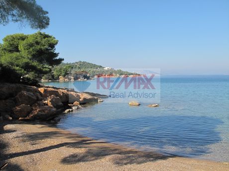 Οικόπεδο 35.001τ.μ. για πώληση-Κρανίδι