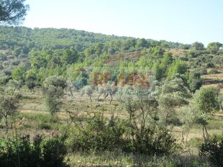 Οικόπεδο 35.001 τ.μ. για πώληση, Αργολίδα, Κρανίδι-thumb-3
