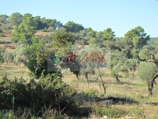Οικόπεδο 35.001 τ.μ. για πώληση, Αργολίδα, Κρανίδι-thumb-10