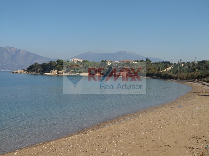 Οικόπεδο 35.001 τ.μ. πρός πώληση, Αργολίδα, Κρανίδι