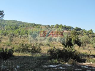 Οικόπεδο 35.001 τ.μ. για πώληση, Αργολίδα, Κρανίδι-thumb-9