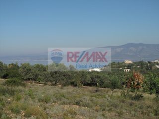 Οικόπεδο 35.001 τ.μ. για πώληση, Αργολίδα, Κρανίδι-thumb-2