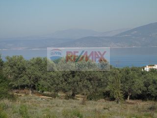 Οικόπεδο 35.001 τ.μ. για πώληση, Αργολίδα, Κρανίδι-thumb-7
