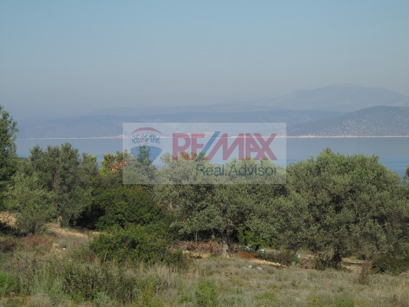 Οικόπεδο 35.001 τ.μ. πρός πώληση, Αργολίδα, Κρανίδι