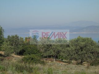 Οικόπεδο 35.001 τ.μ. για πώληση, Αργολίδα, Κρανίδι-thumb-1