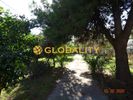 Land plot 1.380sqm for sale-Agia Paraskevi