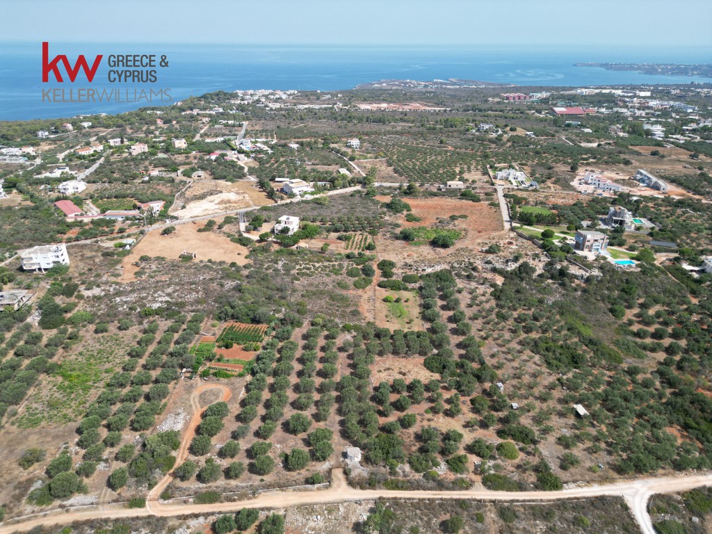 Οικόπεδο 6.306 τ.μ. προς πώληση, Κορακιές