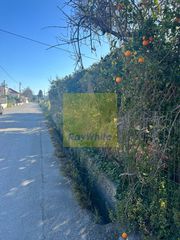 Οικόπεδο 750 τ.μ. προς πώληση, Κοκκώνι-thumb-3