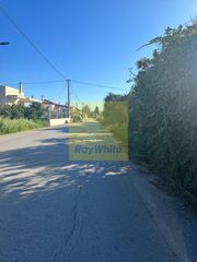 Οικόπεδο 750 τ.μ. προς πώληση, Κοκκώνι-thumb-2