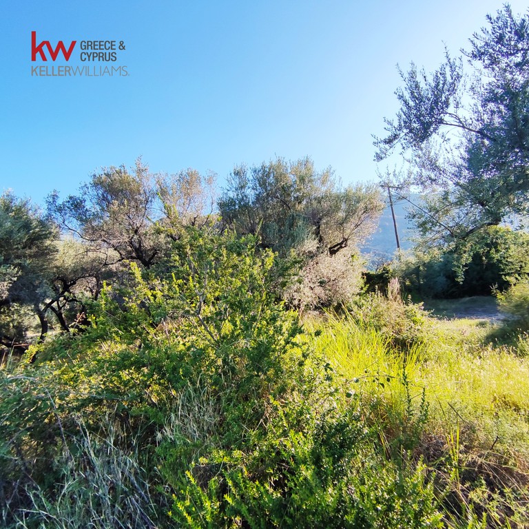 Οικόπεδο 1.327,92 τ.μ. προς πώληση, Διακοπτό