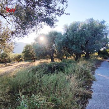 Οικόπεδο 1.327,92 τ.μ. για πώληση