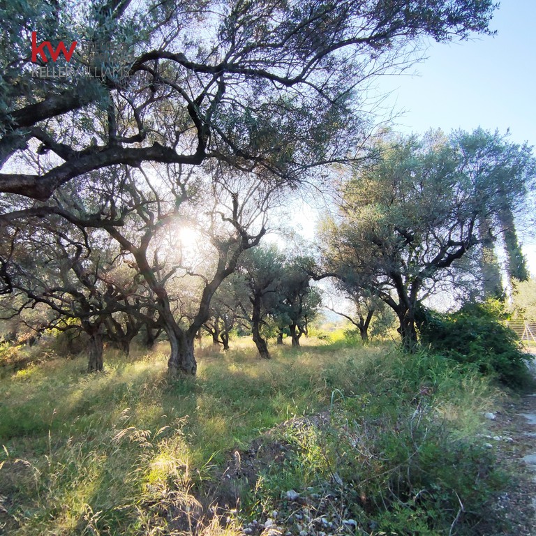 Οικόπεδο 1.327,92 τ.μ. προς πώληση, Διακοπτό
