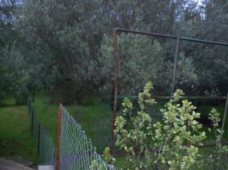 Οικόπεδο 1.300 τ.μ. για πώληση, Αθήνα - Βόρεια Προάστια, Εκάλη-thumb-1