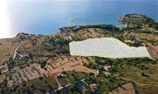 Αγροτεμάχια 18.533 τ.μ. για πώληση