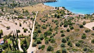 Αγροτεμάχια 18.533 τ.μ. για πώληση, Αργολίδα, Κρανίδι-thumb-11