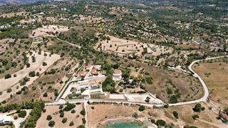 Αγροτεμάχια 18.533 τ.μ. για πώληση, Αργολίδα, Κρανίδι-thumb-9