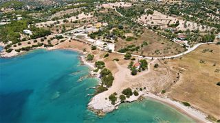 Αγροτεμάχια 18.533 τ.μ. για πώληση, Αργολίδα, Κρανίδι-thumb-7