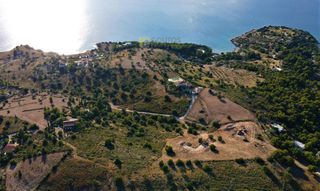 Αγροτεμάχια 18.533 τ.μ. για πώληση, Αργολίδα, Κρανίδι-thumb-3