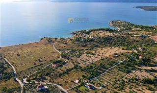 Αγροτεμάχια 18.533 τ.μ. για πώληση, Αργολίδα, Κρανίδι-thumb-13