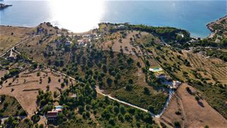 Αγροτεμάχια 18.533 τ.μ. για πώληση, Αργολίδα, Κρανίδι-thumb-4
