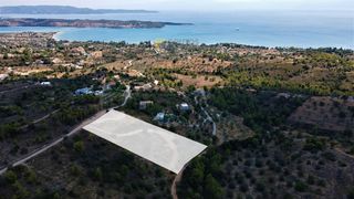 Οικόπεδο 6.000 τ.μ. για πώληση, Αργολίδα, Κρανίδι-thumb-5