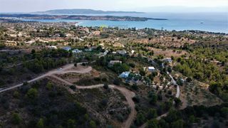 Οικόπεδο 6.000 τ.μ. για πώληση, Αργολίδα, Κρανίδι-thumb-8