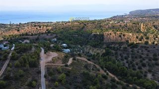 Οικόπεδο 6.000 τ.μ. για πώληση, Αργολίδα, Κρανίδι-thumb-13
