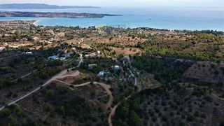 Οικόπεδο 6.000 τ.μ. για πώληση, Αργολίδα, Κρανίδι-thumb-11