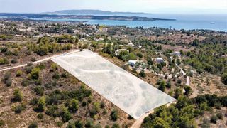 Οικόπεδο 6.000 τ.μ. για πώληση