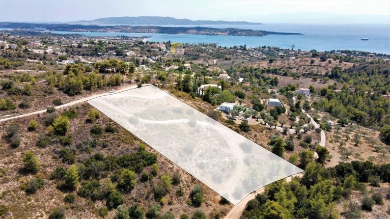 Οικόπεδο 6.000 τ.μ. για πώληση, Αργολίδα, Κρανίδι