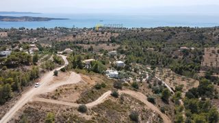 Οικόπεδο 6.000 τ.μ. για πώληση, Αργολίδα, Κρανίδι-thumb-14