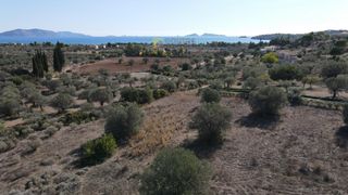 Οικόπεδο 4.200 τ.μ. για πώληση, Αργολίδα, Κρανίδι-thumb-10