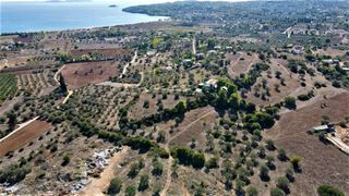 Οικόπεδο 4.200 τ.μ. για πώληση, Αργολίδα, Κρανίδι-thumb-8