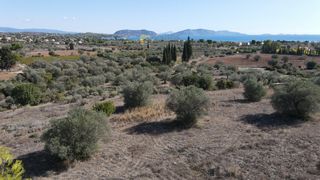 Οικόπεδο 4.200 τ.μ. για πώληση, Αργολίδα, Κρανίδι-thumb-11