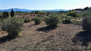 Οικόπεδο 4.200 τ.μ. για πώληση, Αργολίδα, Κρανίδι-thumb-14