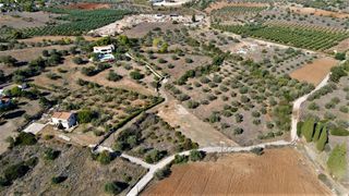 Οικόπεδο 4.200 τ.μ. για πώληση, Αργολίδα, Κρανίδι-thumb-18