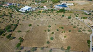 Οικόπεδο 19.725 τ.μ. για πώληση, Αργολίδα, Κρανίδι-thumb-24