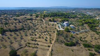 Οικόπεδο 19.725 τ.μ. για πώληση, Αργολίδα, Κρανίδι-thumb-27