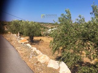 Οικόπεδο 19.725 τ.μ. για πώληση, Αργολίδα, Κρανίδι-thumb-11