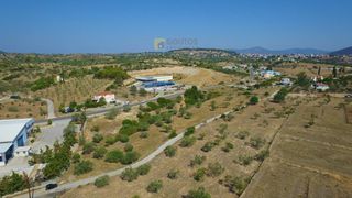 Οικόπεδο 19.725 τ.μ. για πώληση, Αργολίδα, Κρανίδι-thumb-15