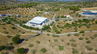 Οικόπεδο 19.725 τ.μ. για πώληση, Αργολίδα, Κρανίδι-thumb-17